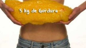 gorduras